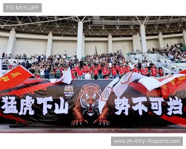 足球赛事中的球迷文化与赛场体验