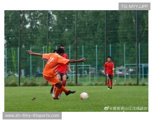 你发个股我来客观聊聊深度解析体育产业上市公司投资价值