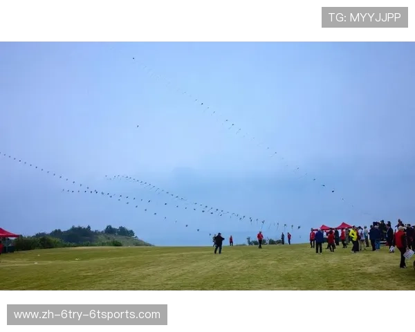 聚焦2026庐山风筝精英赛赛事工作机构人员选派工作正式启动