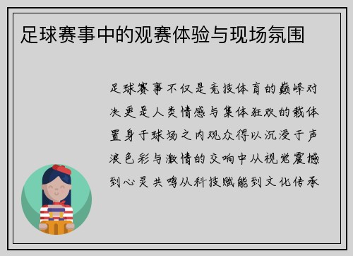 足球赛事中的观赛体验与现场氛围