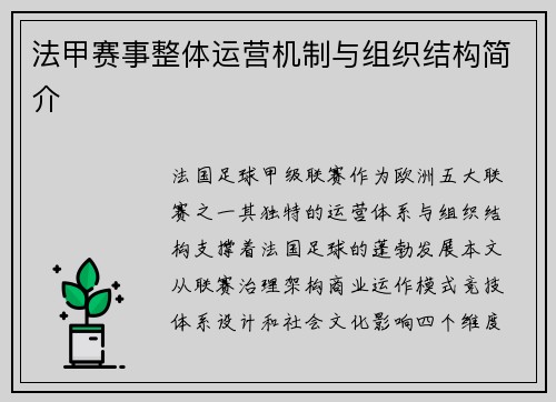 法甲赛事整体运营机制与组织结构简介