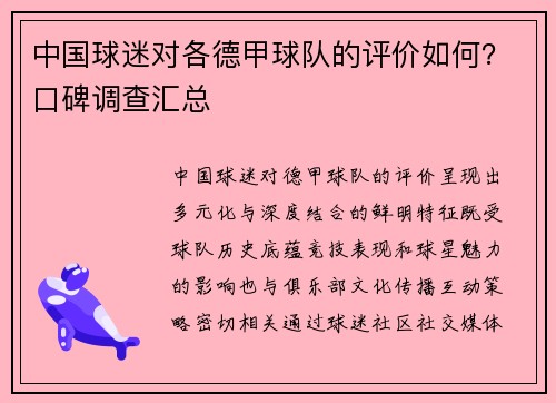 中国球迷对各德甲球队的评价如何？口碑调查汇总